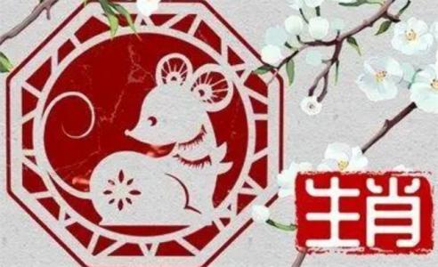 1984年是什么命运（1984年木鼠之人命运如何转运呢）