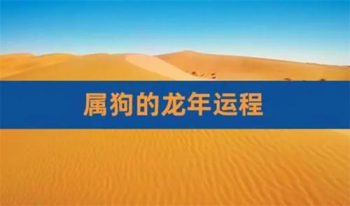 2018年属相是什么（属狗的人在2025年的运势如何）