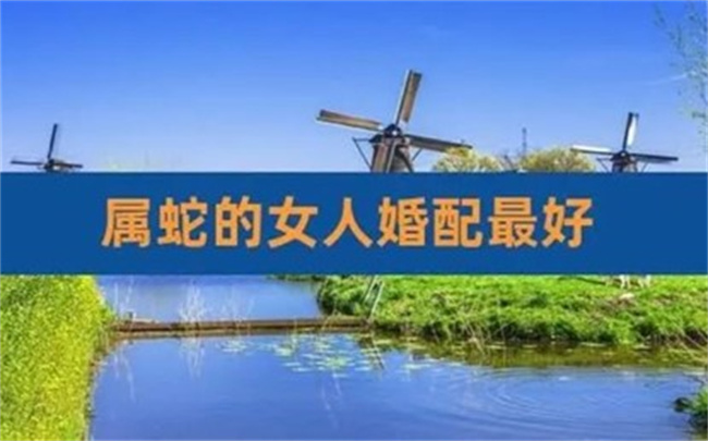 属蛇的女性有什么性格特征，最佳婚配是什么