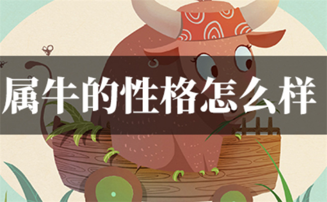 属牛女的性格特点怎么样（属牛女的人格分析）